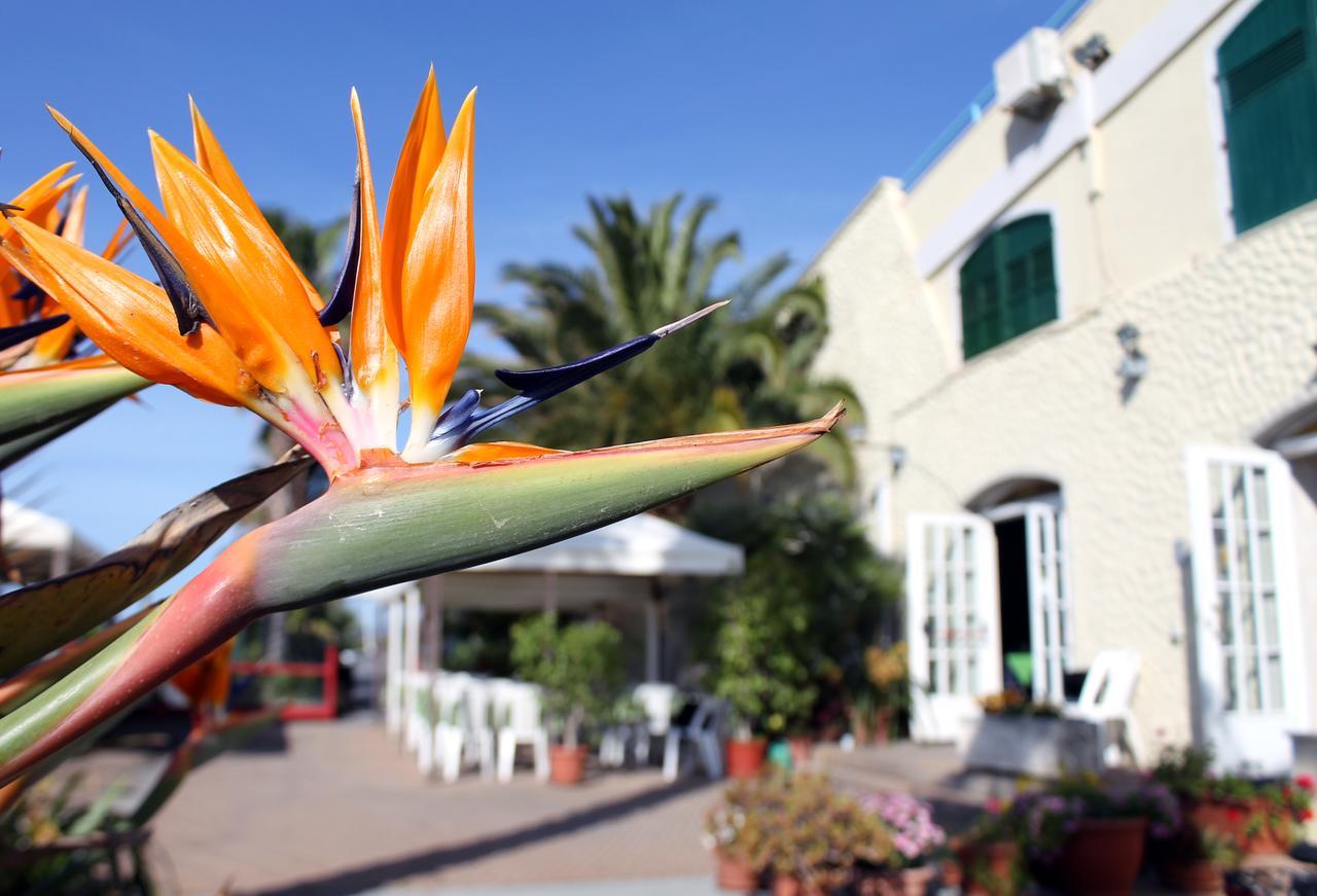 Albergo Ristorante Lucciola Santo Stefano al Mare Exterior photo